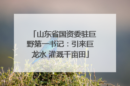 山东省国资委驻巨野第一书记：引来巨龙水 灌溉千亩田